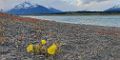 0429-dag-20-188-El Calafate camping La Roca